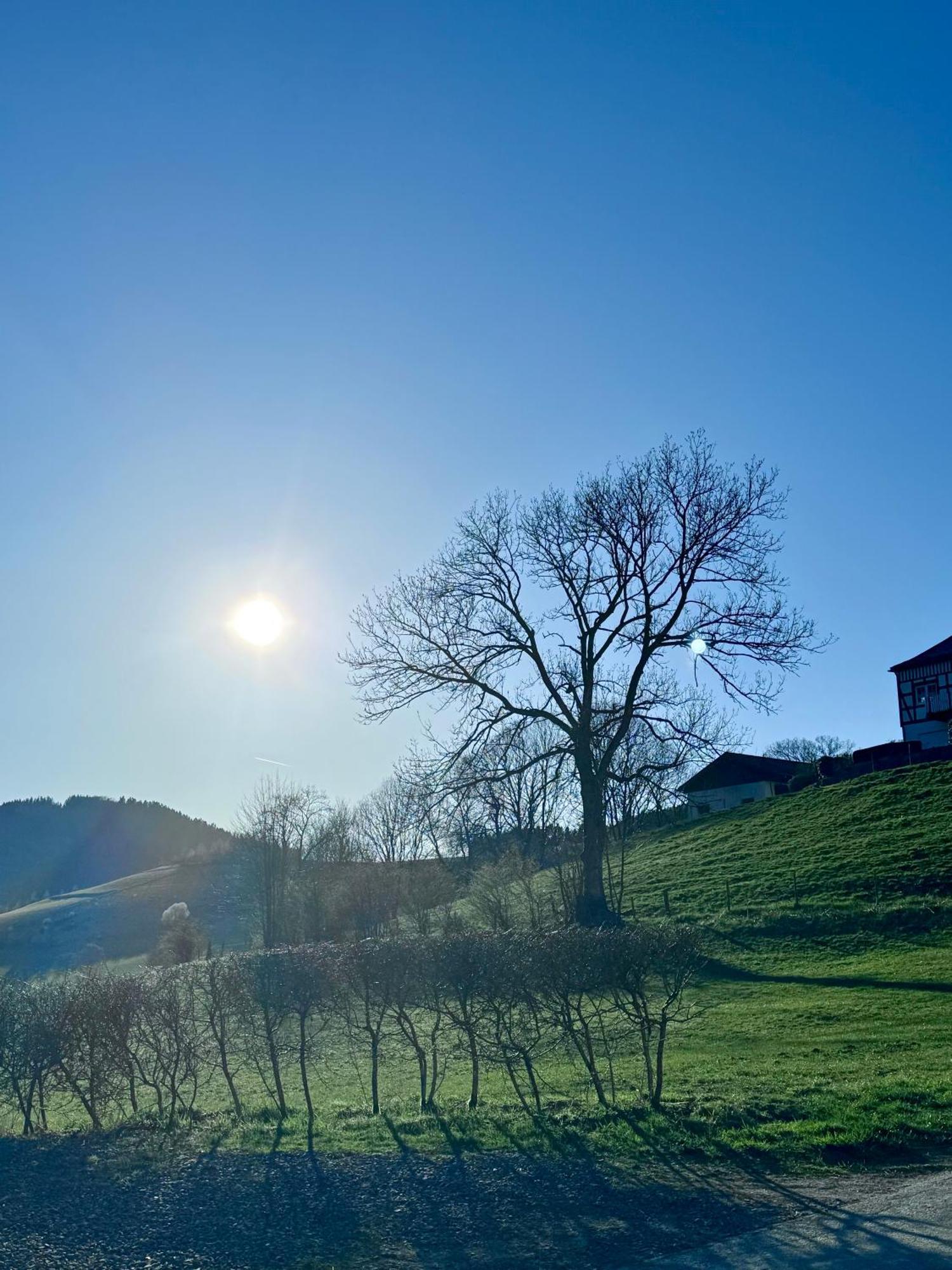 Appartamento Landferienwohnug Simon Schmallenberg Esterno foto
